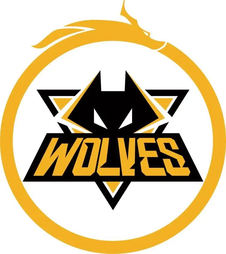 FaZe 晋级 PGL Cluj-Napoca 2025 的季后赛